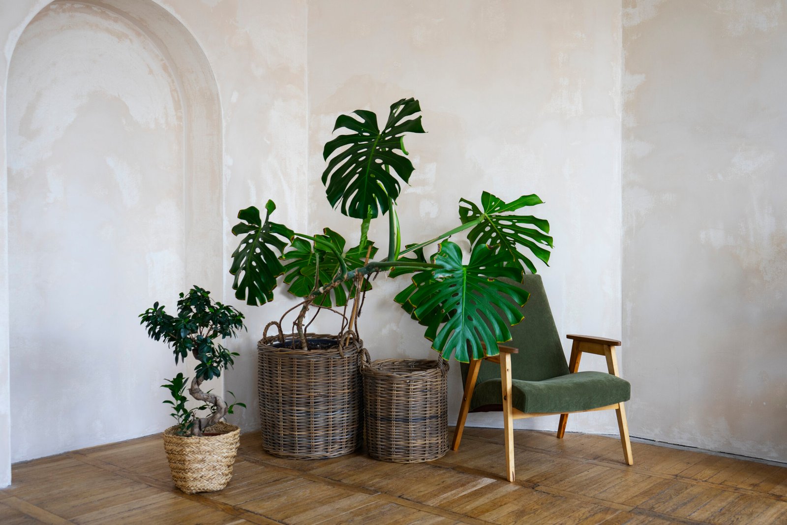 Room decor with potted monstera plant scaled.