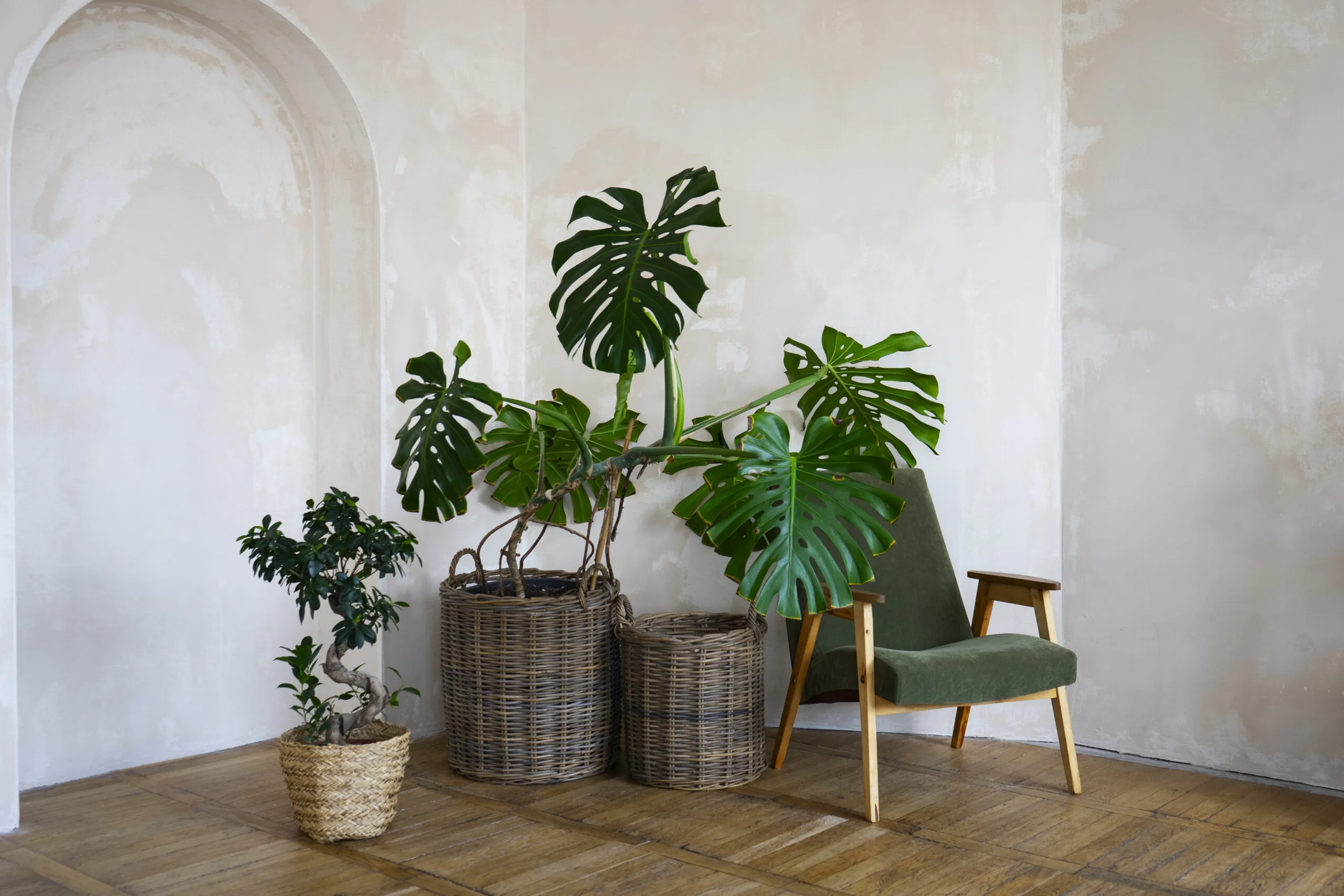 Room decor with potted monstera plant scaled.