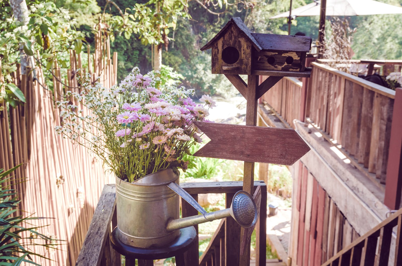 Vintage style of flower in a watering can.