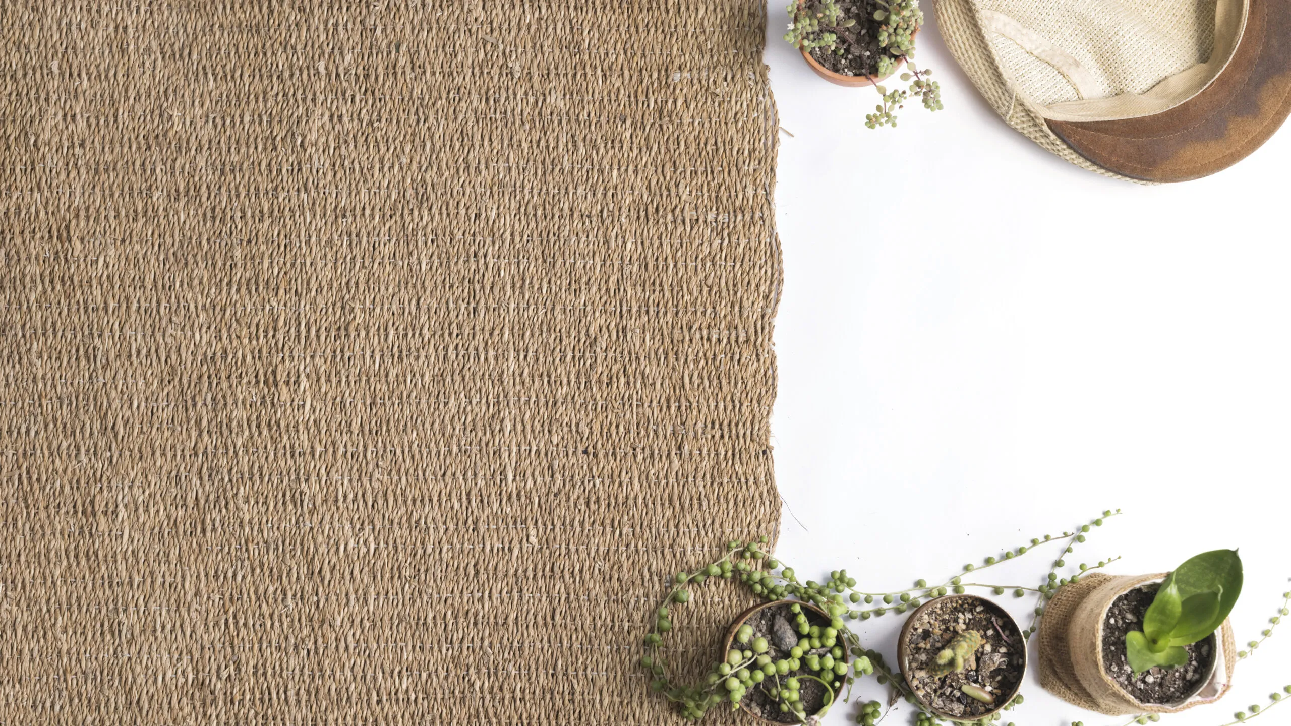 Jute rug scaled.