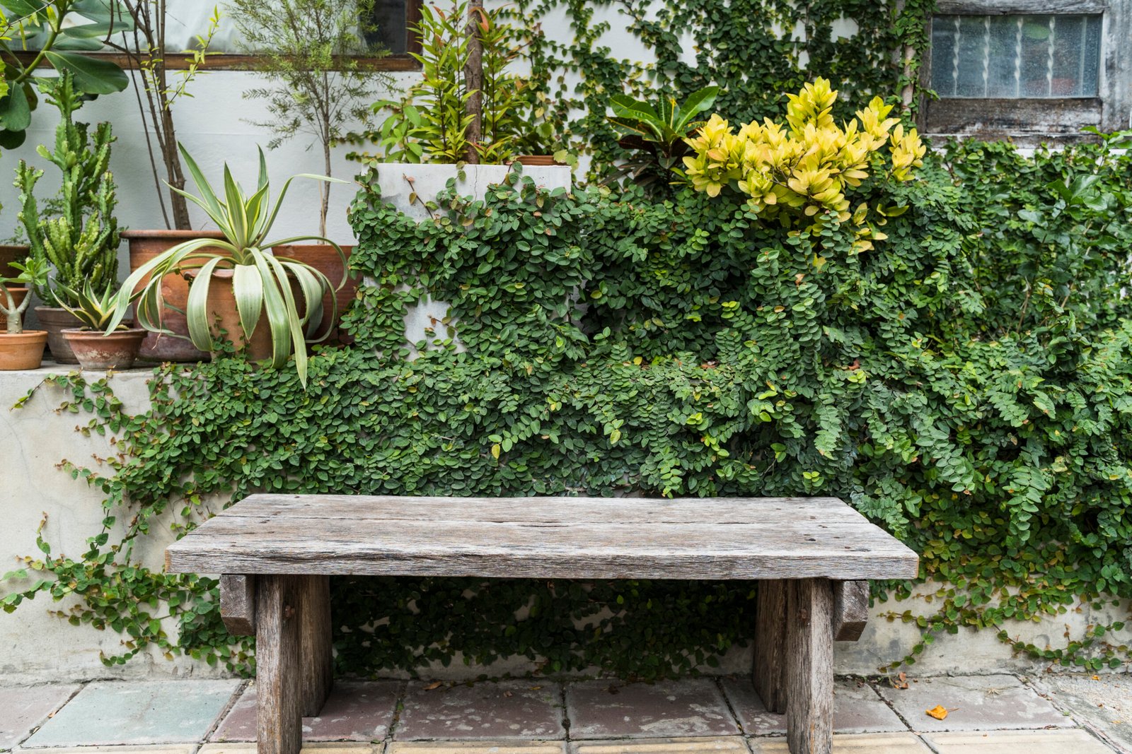 Wooden bench in a beautiful garden.