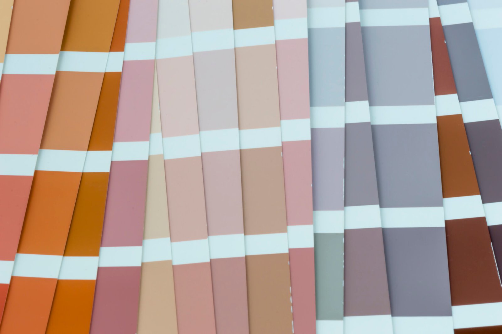 Color palette for walls. 