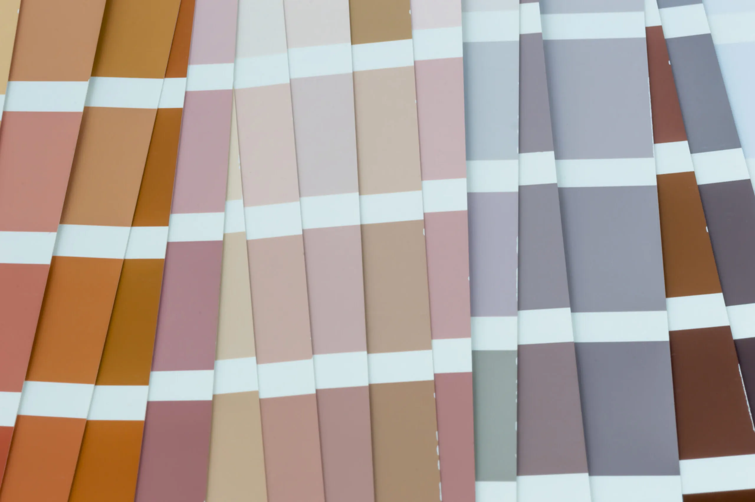 Color palette for walls.