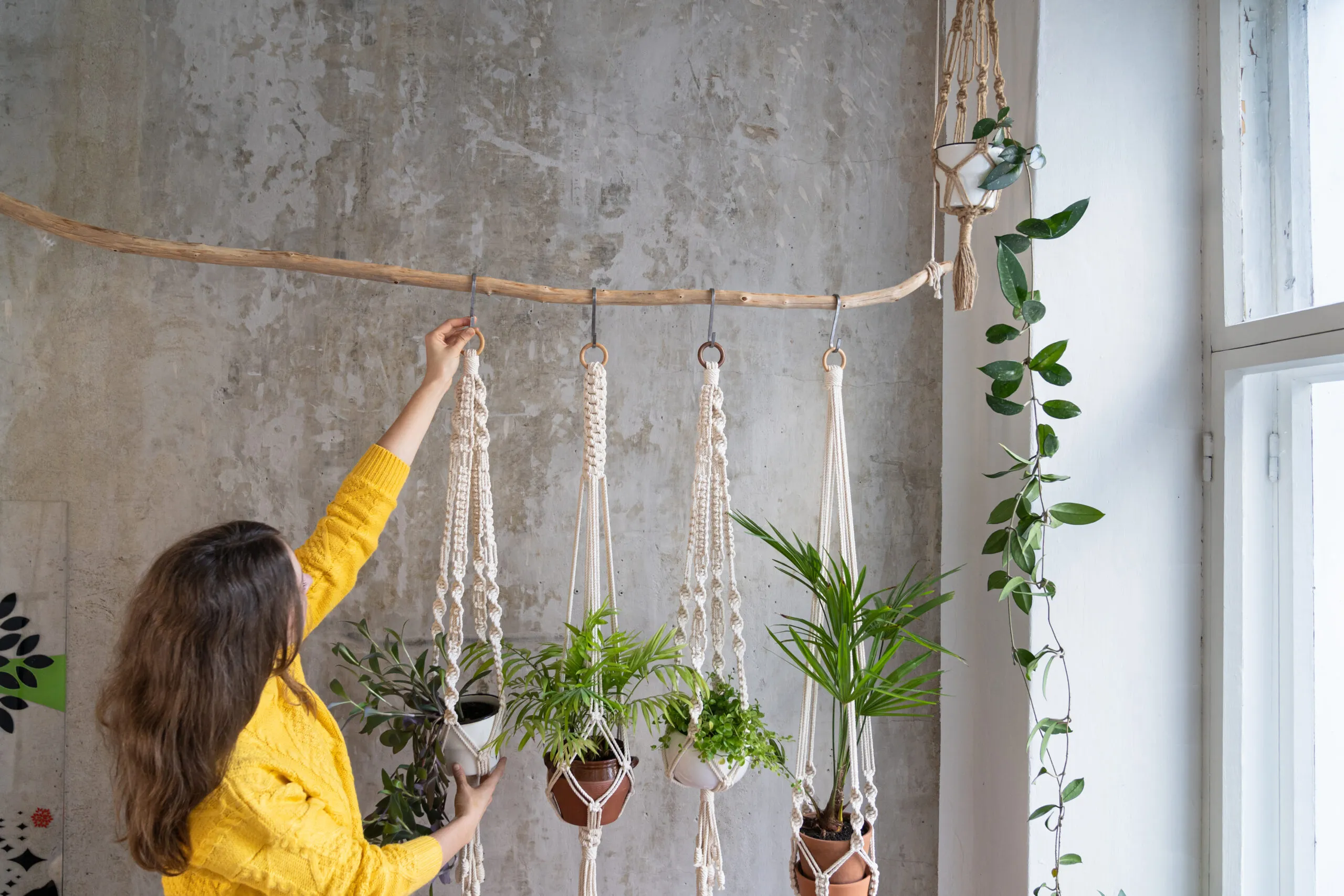 Woman gardener holding macrame plant hanger with houseplant over grey wall.