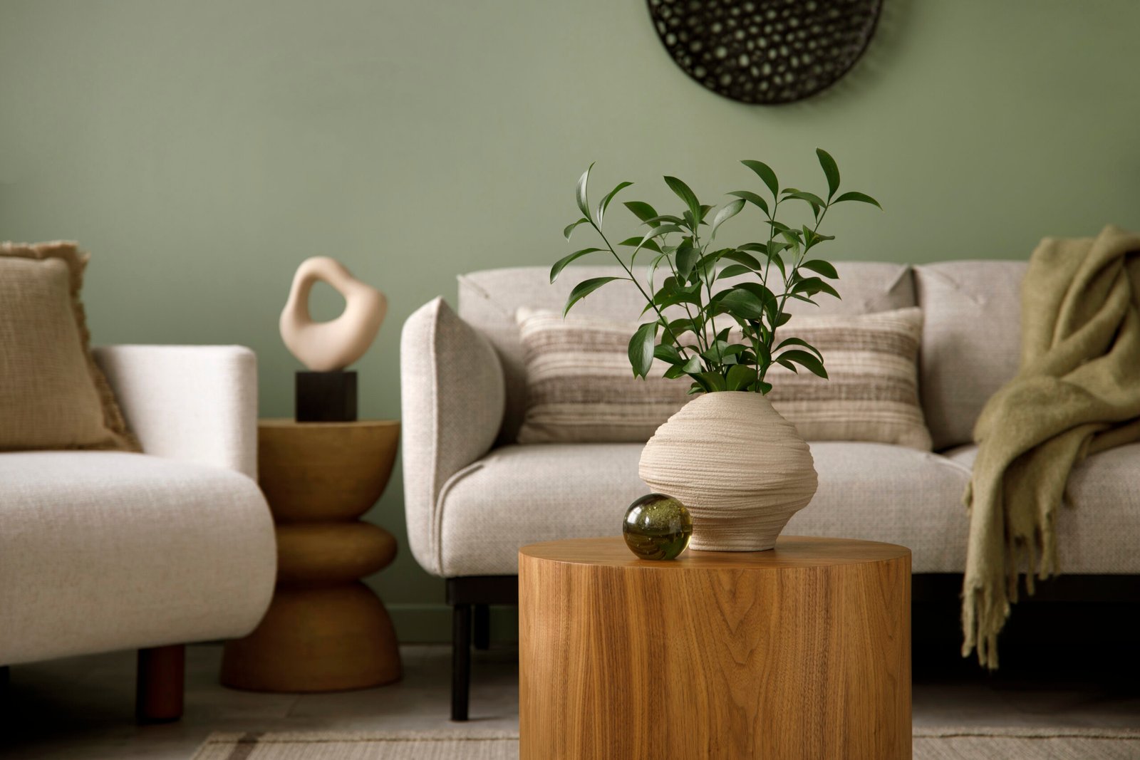 Stylish composition of living room interior with green wall, grey sofa with pillow and green plaid. White armchair with beige pilow, wooden coffee table with beige vase with green leaves and glass ball. Black vase with green flower. 