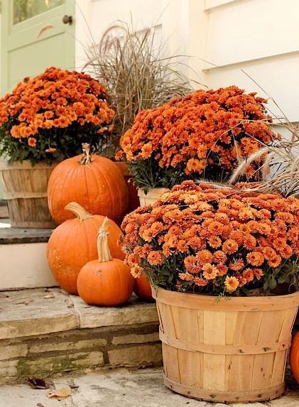 Orange flowers and pumpkins front porch decor.