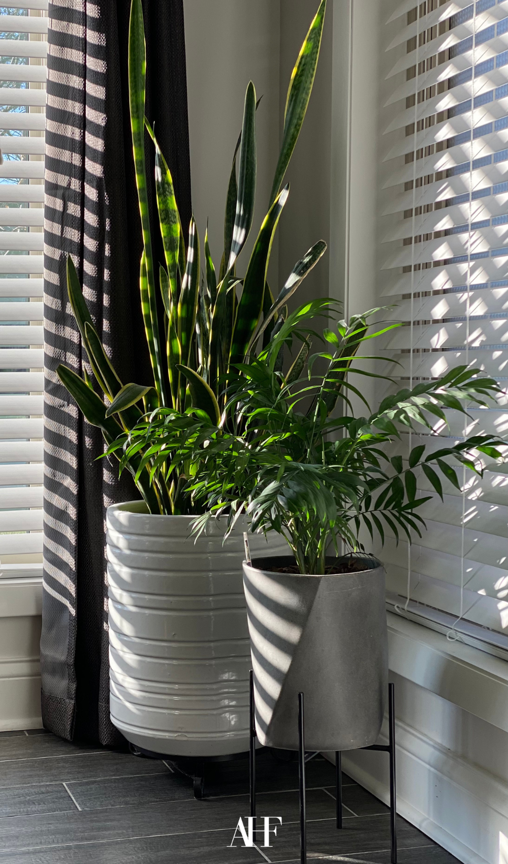 Indoor plant stand in neutral colors, with sunlight sipping in.
