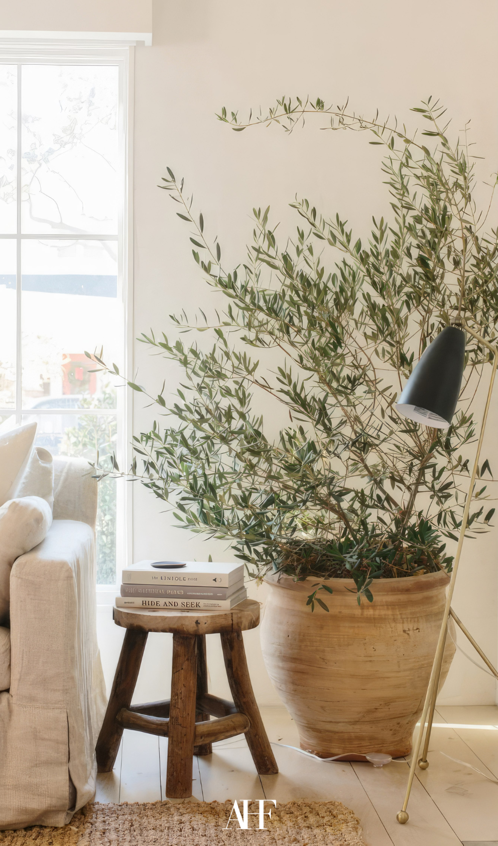 A Swedish farmhouse living room with a large plant next to the sofa, a light linen sofa.