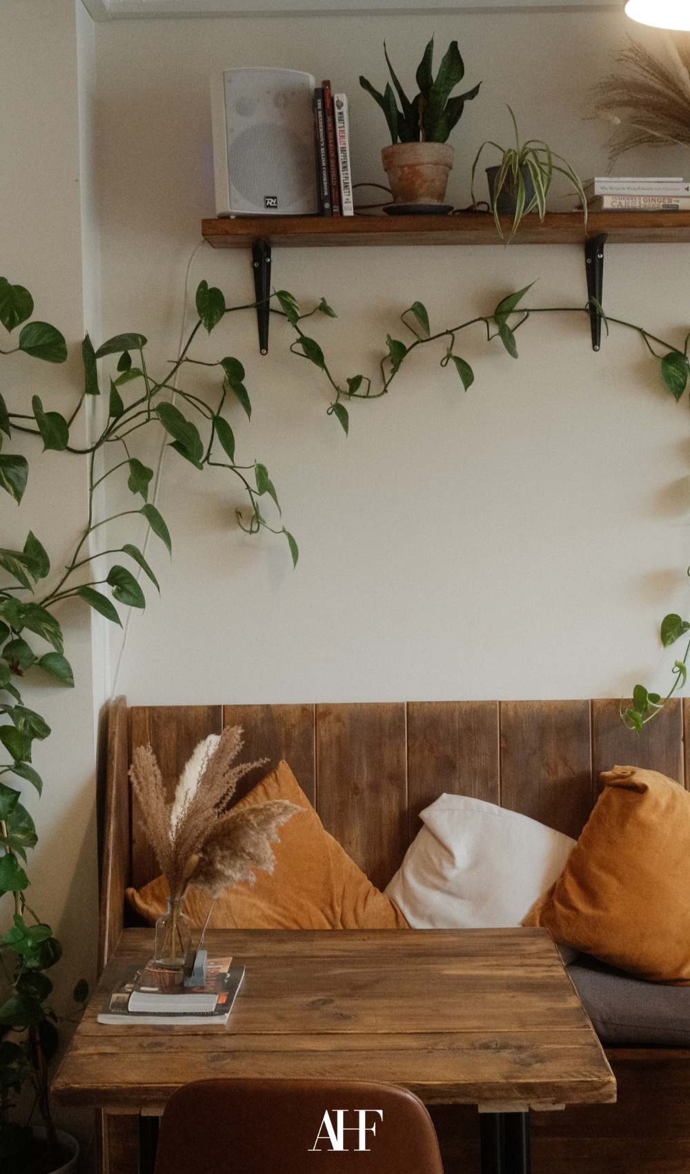 A brown couch with orange pillows, and a plant growing on the wall.