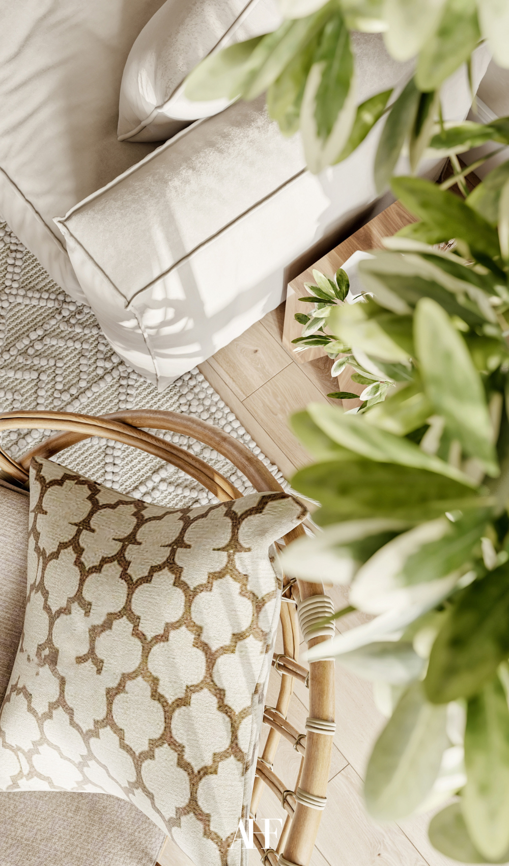 A picture taken from above on a plant and a accent chair and a linen sofa. Indoor plants benefits.