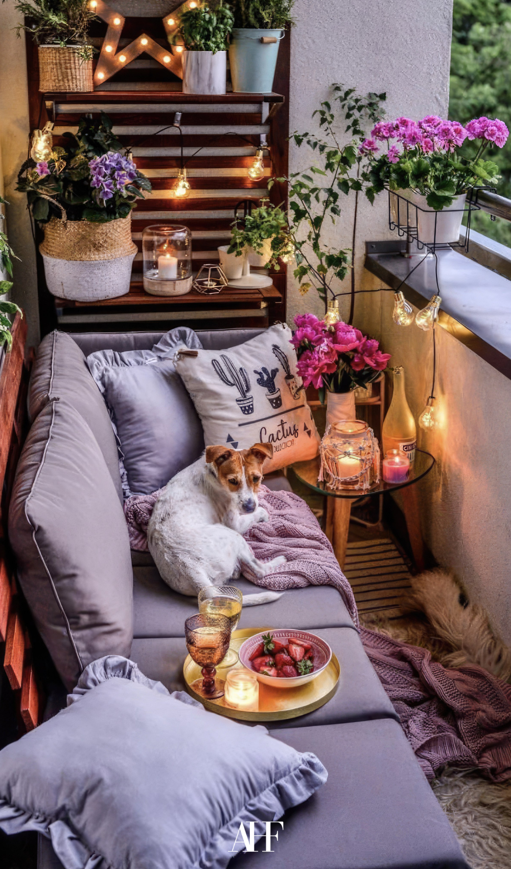 Very cozy balcony with cozy lighting and some pillows. A dog in a couch.
