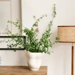 Indoor plants benefits with a plant on a wooden sideboard. Candle sticks and a floor lamp.
